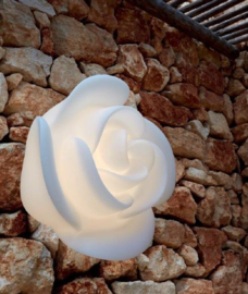 Rose Wall Lamp in White