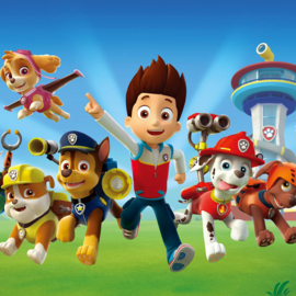 paw patrol vierkant 1
