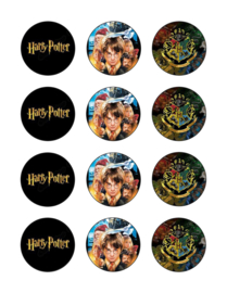 Harry Potter cupcake 2