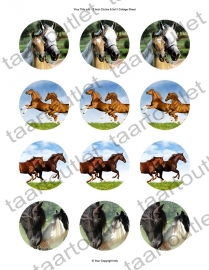 Cupcake Paarden 3