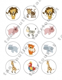 Wilde dieren cupcake 5