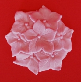Windsor Petunia Mould