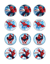 Spiderman cupcake 1