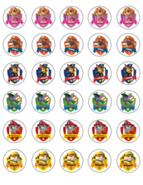 paw patrol cupcake 6 mini