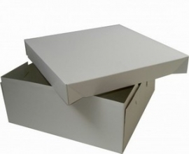 Taartdoos 25X25CM 15CM HOOG