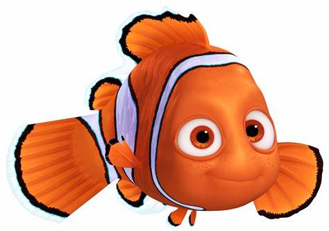 Finding Dory A 4 