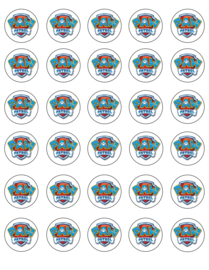paw patrol cupcake 1 mini