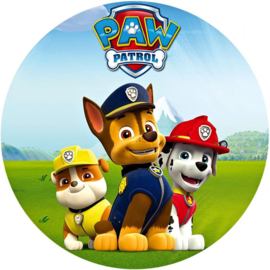 paw patrol 5