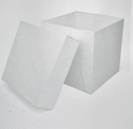 Taartdoos Hoogte 25,4x25,4x25,4mm