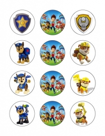 Paw patrol cupcake 3