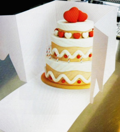 Taartdoos Hoogte 25,4x25,4x25,4mm