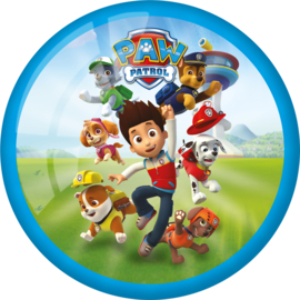 paw patrol 8
