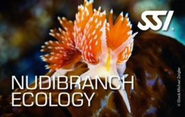 SSI Nudibranch Ecology diver kit