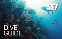 Dive Guide (DG)