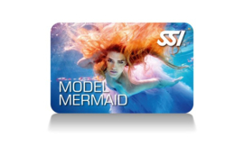 SSI Model Mermaid