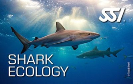 Start jouw SSI Shark Ecology Specialty