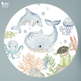 Muurcirkel under of the sea wit