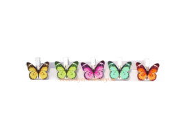 Knijper vlinder hout (5 ass.) 5x