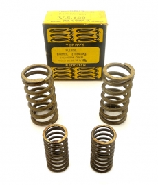 Terry's Aero valve springs for Panther 350 - 500 - 600 OHV Singles (VS120)