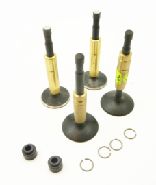 Black Diamond  valves & guides  Triumph T140E + ES (70-4603 - 2904 - 7506 - 7202 - 3209)