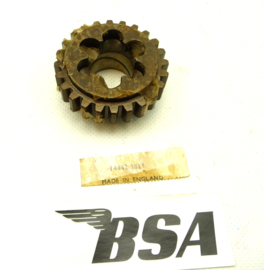 BSA DBD34GS layshaft 2ndgear 24T (42-3024)