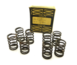 Royal Enfield Interceptor twins 500-600-750 Terry's valve springs (451.538A)