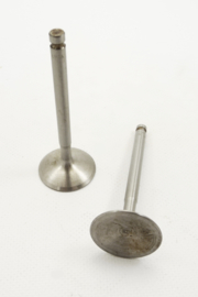 Pair of inlet valves (V287)