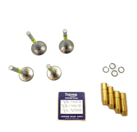 Triumph Tiger 100  - T100 C - S - T    Valves & guides set  opn. 70-6853 / 70-6854 / 70- 6301