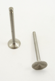 Pair of exhaust valves (V285)