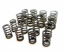 Weslake / NRE valve spring set (8 prs) (N152 - N153)