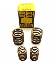 Terry's Aero valve springs for Royal Enfield 248 OHV (VS392)