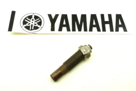 Yamaha cam chain tensioner bolt + nut (90109-18306 / 447-12228-00)