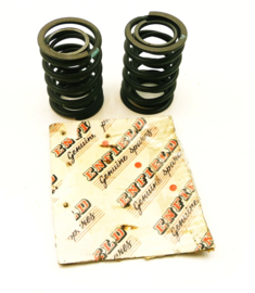 Bullet 500 set of valve springs (142202 / 142201)