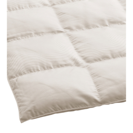 XL Dekbed - Dauny Eider Cosy