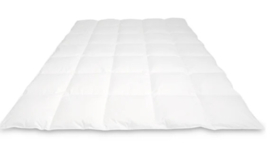 Cassenz Rembrandt Autumn duvet | 100% Mazurian goose down