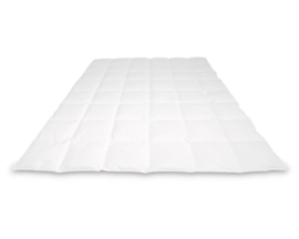 Cassenz Rembrandt zomerdekbed – 100% Mazurisch ganzendons