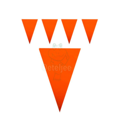 Vlaggenlijn / slingers oranje