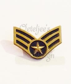 Pin militaire wings