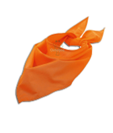 Sjaaltje / bandana oranje