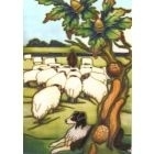 Swaledale