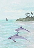 Dolphins