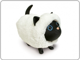 Sheep Cat