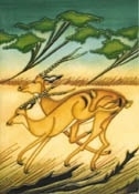Impala