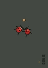 Ladybirds in Love