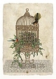Birdcage