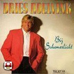 DRIES ROELVINK     - BIJ SCHEMERLICHT -*