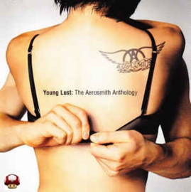 *AEROSMITH      * YOUNG LUST: the AEROSMITH ANTHOLOGY * -