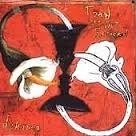 TOAD the WET SPROCKET   -Dulcinea-