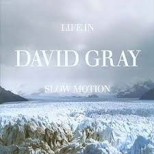 DAVID GRAY         "Live In Slow Motion"