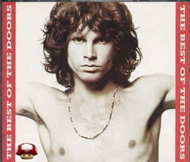 DOORS, the     *The Best Of The DOORS*